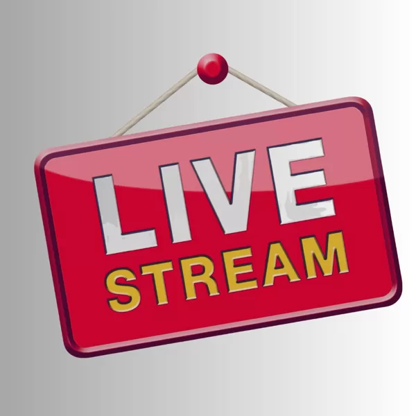 Live-Workshops